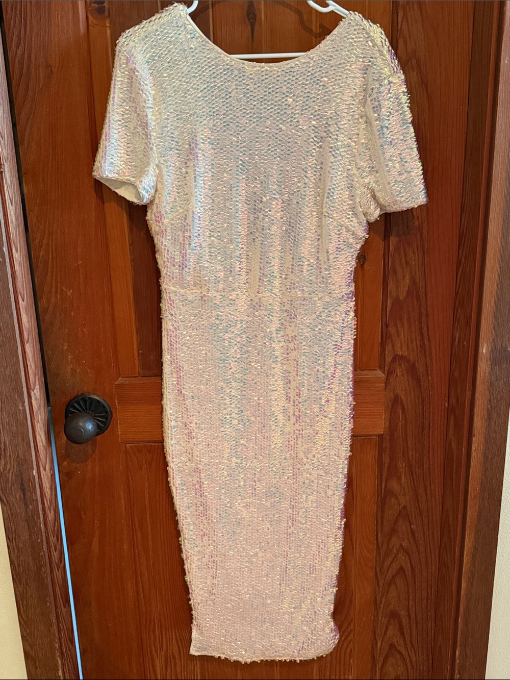 Iridescent Sequin Dress - Picture 4 of 5